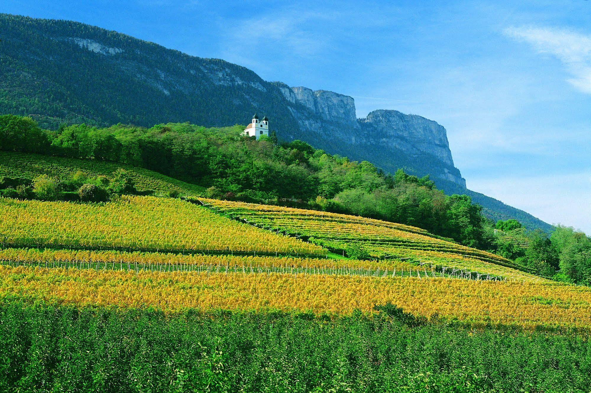 Hotel Gasthof Wastl Appiano Sulla Strada Del Vino Dış mekan fotoğraf