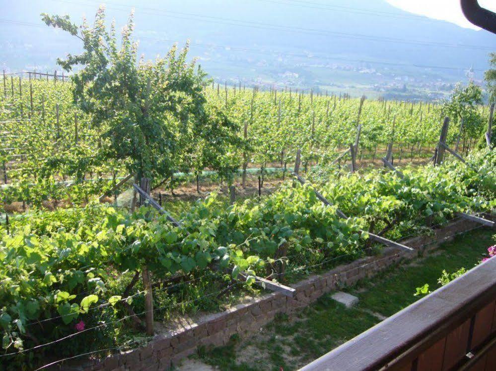 Hotel Gasthof Wastl Appiano Sulla Strada Del Vino Dış mekan fotoğraf